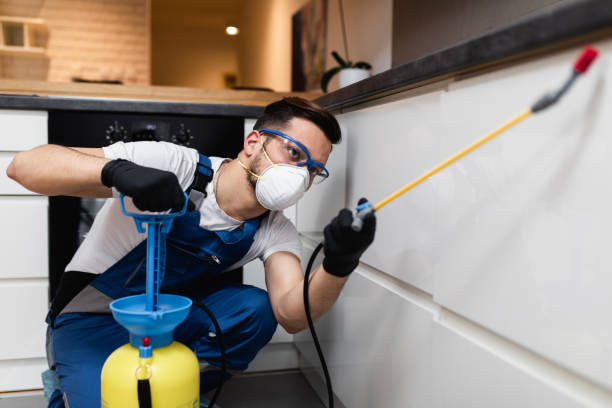 Best Pest Control Treatment  in Creswell, OR