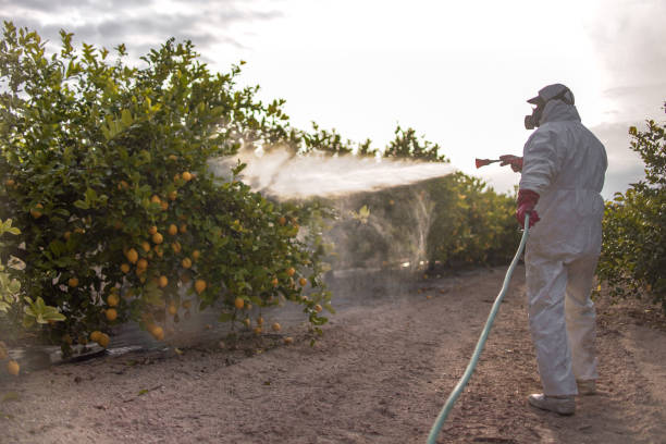 Bird Control in Creswell, OR