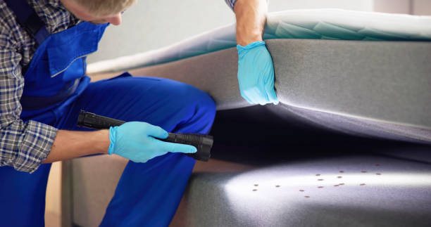 Best Emergency Pest Control  in Creswell, OR