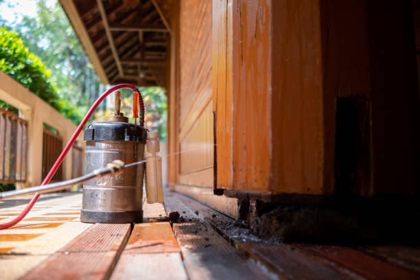 Best Affordable Pest Control Services  in Creswell, OR