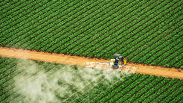 Best Pest Removal Services  in Creswell, OR