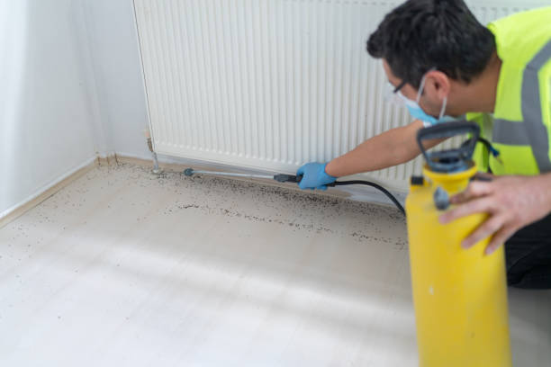 Best Termite Control Services  in Creswell, OR