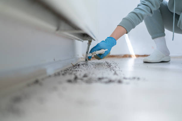 Best Affordable Pest Control Services  in Creswell, OR