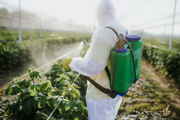 Best Best Pest Control Companies  in Creswell, OR